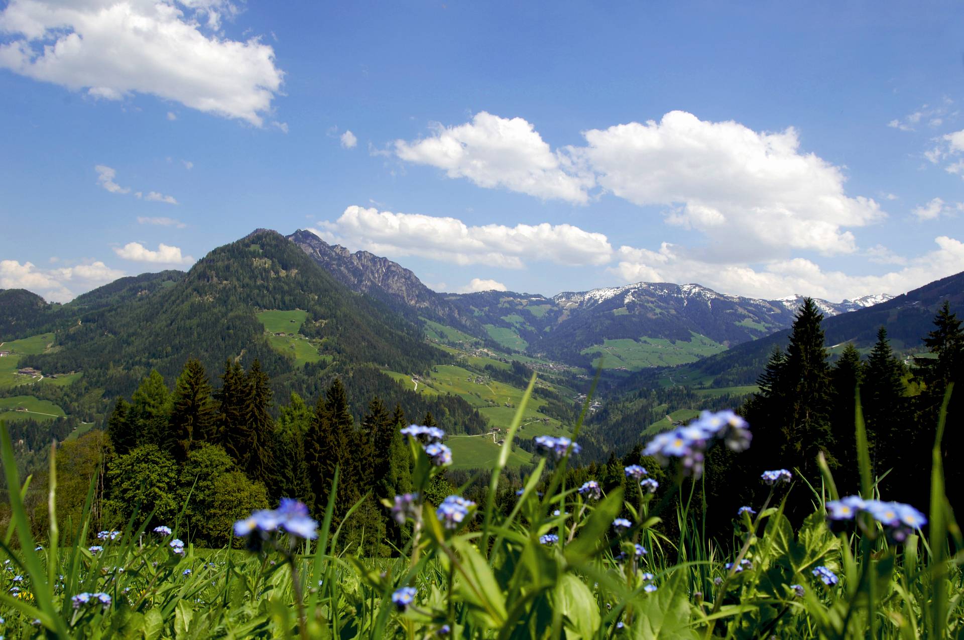 Bergenlandschaft mit grüner Natur und blauem Himmel