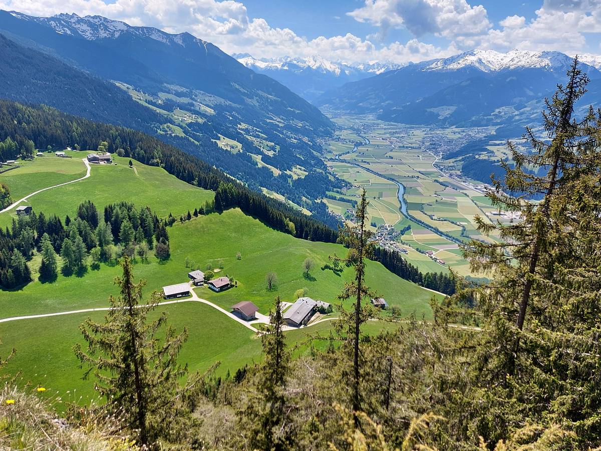 Bergpanorama aufs Alpbachtal