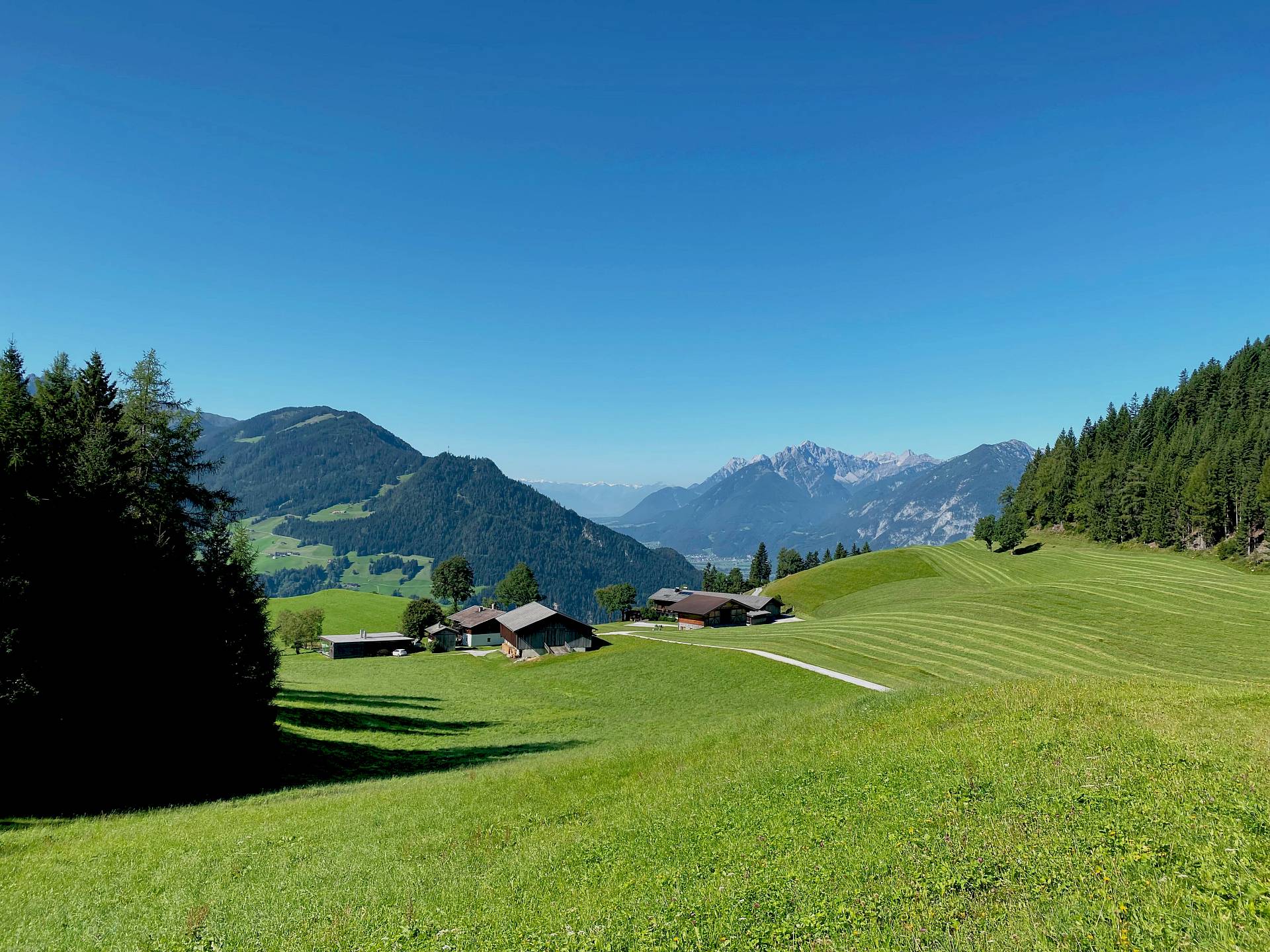 Grüne Naturlandschaft von Alpbachtal