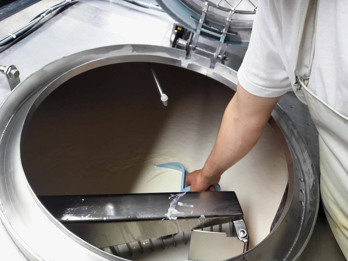 Arm von einer Person entnimmt mit einer Handschaufel eine Probe des werdenden Käses aus der Maschine