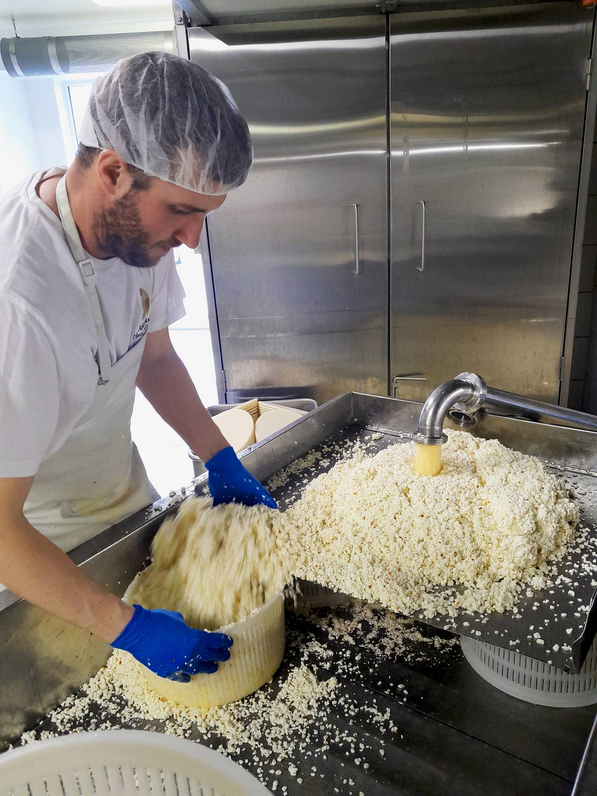 Mann beim Befüllen einer Form mit zerkleinertem Käse