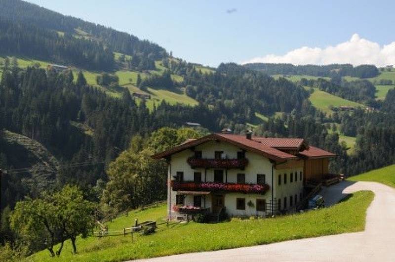 Hof Lechen von Josef Moser