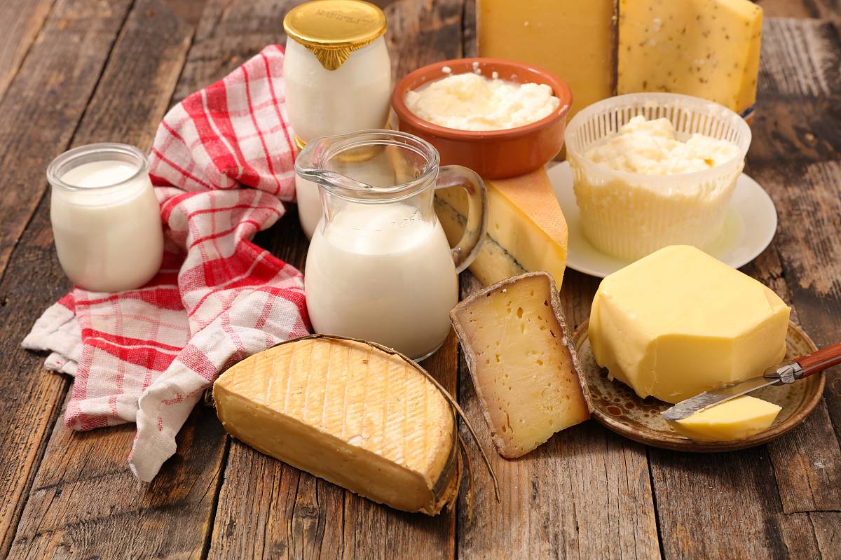 Käsevariationen sowie Milch, Butter und Joghurt auf einem Holztisch